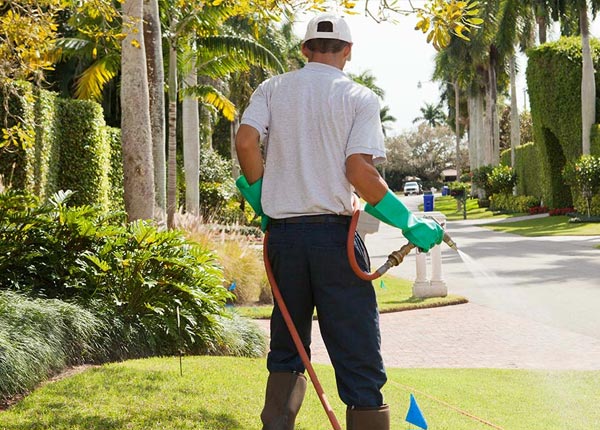 About Pinewood SC Pest Control Pros